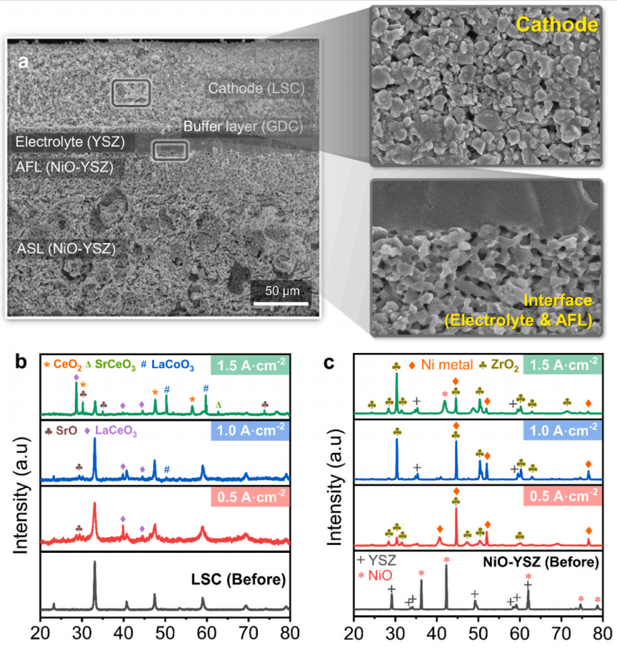 발표논문 이미지